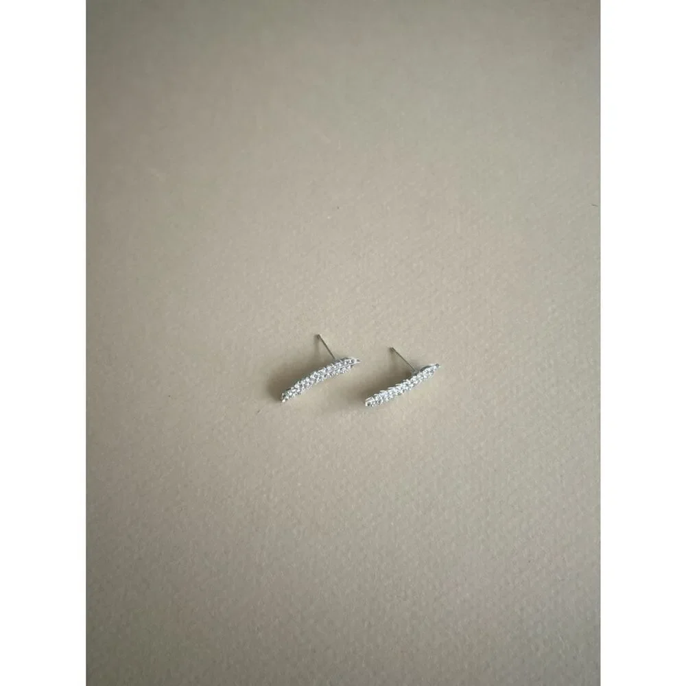 Feather Stud Earrings S1354
